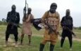 Boko Haram Kills Farmers and Fishermen in Borno Over Alleged Support for ISWAP
