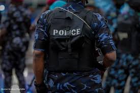 Police Arrest Notorious Kidnapper and Cattle Rustler in Nasarawa