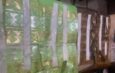 NDLEA Seizes Cocaine Hidden in Aso Ebi Caps and Headgears