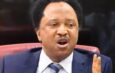 Shehu Sani Criticizes Proposed Bill to Mandate Voting for Eligible Nigerians