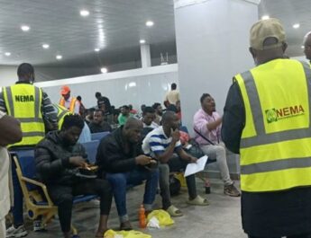 Ireland Deports 35 Nigerians for Immigration Violations