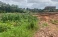 Man kills mother over land dispute in Enugu community