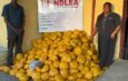 “Lagos Court Sentences Couple to 22 Years in Prison for Drug Trafficking”