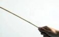 Kano Sharia Court Sentences Man to 50 Strokes of Cane for Theft
