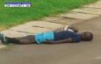 Drama in Tanzania as football match halted after bees swarm pitch