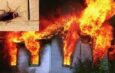 Woman trying to k!ll cockroach accidentally sets house on fire, k!lls neighbour