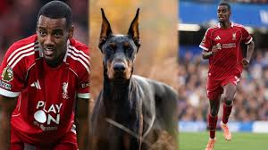Liverpool’s Alexander Isak buys £30k guard dog after receiving death threats