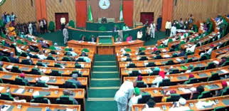 Reps Propose Six-Year Term for CBN Governor, Ban on Foreign Currency in Local Transactions