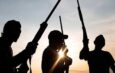 Gunmen abduct vice chairman, two councillors, others in Borno