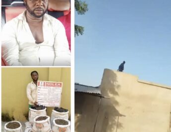 Notorious Drug Kingpin ‘Kanmo-Kanmo’ Arrested 12 Years After Killing of Three NDLEA Officers