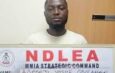 NDLEA: Drug Lord Serving Five-Year Sentence in Ikoyi Prison Attempts Cocaine Export to the UK