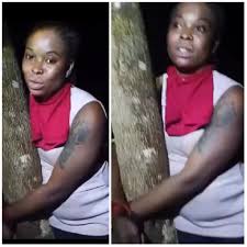 Woman rescued after man she met online allegedly lured her to a bush in Delta, transferred her money, and tied her to a tree
