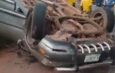 Mother and Son Miraculously Escape Death as Lexus SUV Overturns Multiple Times in Lagos