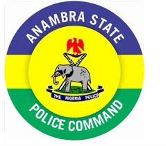 Anambra Police Commissioner orders DPO to produce officers seen harassing and extorting citizen in viral video