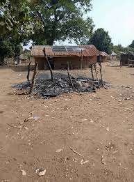 Seven villagers killed in fresh Benue attack