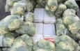 Thai Police Seize 1.6 Tonnes of Drugs Concealed Beneath Cabbages