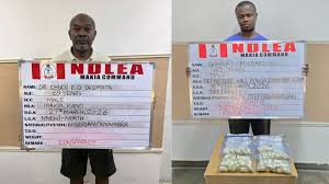 Medical doctor and Ivorian national arrested over cocaine trafficking as NDLEA dismantles international drug syndicate