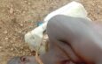 Suspected herders kill man in Plateau