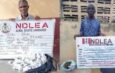 83-year-old and 78-year-old grandfathers arrested for alleged drug trafficking in Abia and Ekiti states