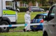 Man allegedly kills ex-partner and himself in grenade-triggered house explosion