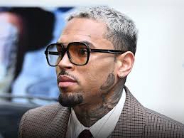 Singer Chris Brown’s security guard fired after discharging firearm outside his home