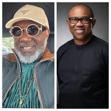 “If he cannot face party tribulations and crisis, how does he intend to handle Nigeria?” — Dino Melaye knocks Peter Obi over alleged switch from ADC to NDC