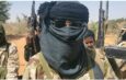 Bandits Attack Sokoto Community, Kill Imam, Three Others, Abduct 12