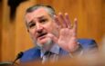Ted Cruz Claims Nigeria Is Using Lobbyists to Shift Attention From Christian Killings and Insecurity