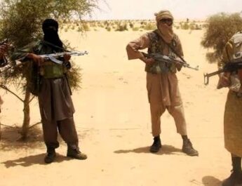 Terrorist Attack in Southern Kaduna Claims 30 Lives, Including Women and Children