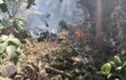 Tourist Helicopter Crashes in Kenya, Leaving No Survivors