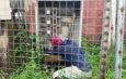 Man Electrocuted in Alleged Attempt to Steal Transformer Cables