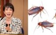 Japanese PM Opens Up About Feeling “Lonely and Sad” After Cockroach Was Killed