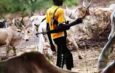 Fresh Benue Attack: Suspected Herders Kill Father and Two Children