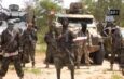 25 Children from Kebbi, Kwara and Niger Died in Terrorist Captivity — Lawmaker
