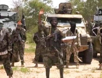25 Children from Kebbi, Kwara and Niger Died in Terrorist Captivity — Lawmaker