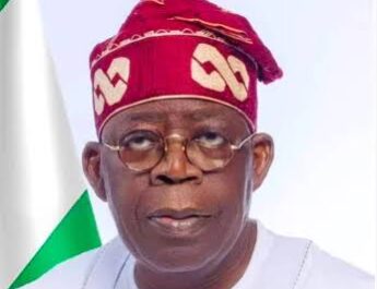 Arewa Youths Laud Tinubu Over Creation of 10th Division in Taraba