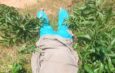 Christian Leader Killed in Plateau Amid Suspected Militia Attack