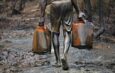 37 suspected oil thieves reportedly die after inhaling substance in Rivers