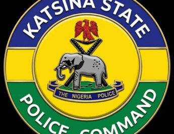 Katsina Man, 22, Allegedly Kidnaps Grandfather With Two Accomplices, Collects N3m Ransom