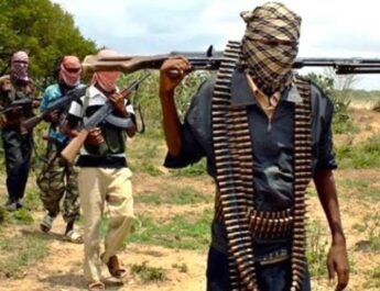 Gunmen Kill Expatriate, Two Others at Road Construction Site in Kebbi